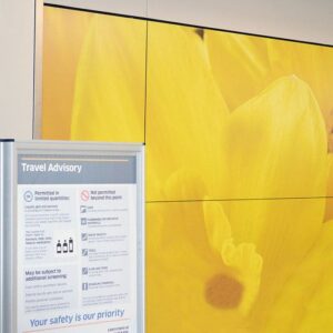 Wall & Window Graphics