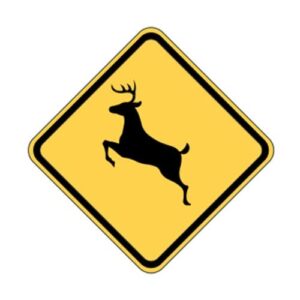 W11-3 Deer Sign