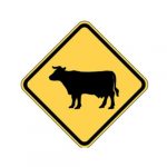 W11-4 Cattle Sign